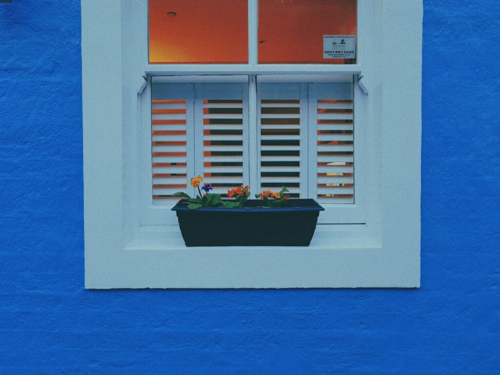 Fenster kaufen
