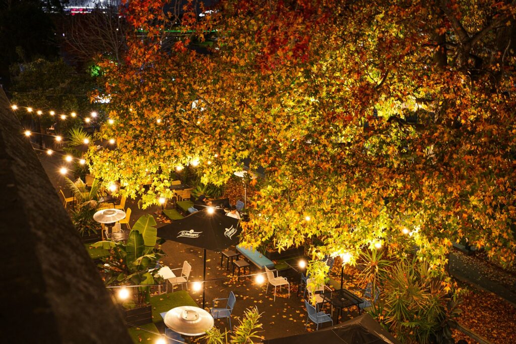 Die besten Tipps für den perfekten Biergartenbesuch Biergartenbesuch