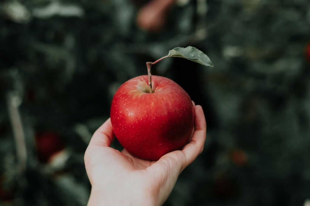 Braeburn Apfel